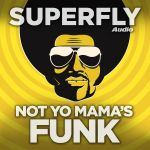 Not Yo Mama's Funk